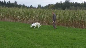 20150930_142251.jpg